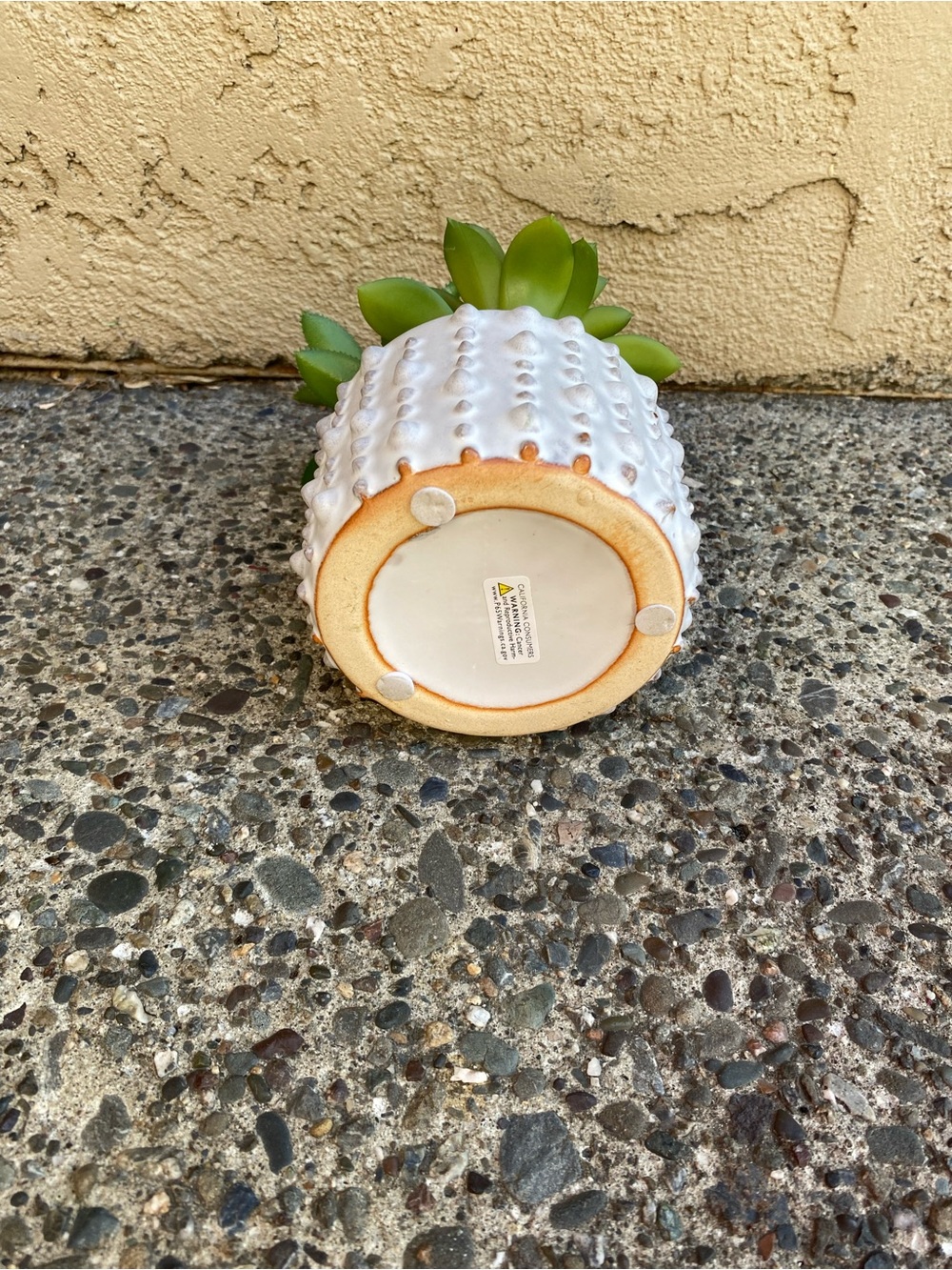 White Ceramic Succulent Planter with Green Faux Succulents - Picture 4 of 5
